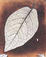 Apuntes sobre la invención de la fotografía