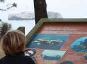 Península Magdalena niños…