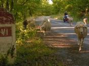 Todos caminos cine independiente llevan Márgenes