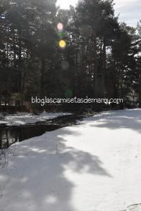 Blogger Traveller: El invierno en Madrid monte abantos 6