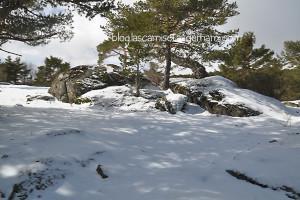 Blogger Traveller: El invierno en Madrid monte abantos 1