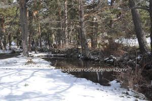 Blogger Traveller: El invierno en Madrid monte abantos 2