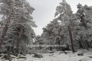 Blogger Traveller: El invierno en Madrid monte abantos 7