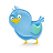Twitter icon