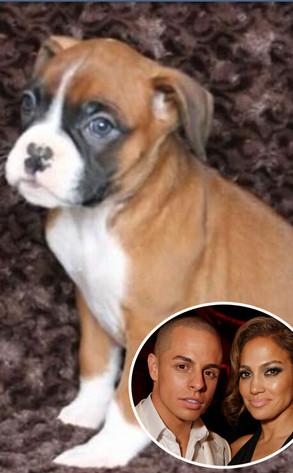 Casper Smart imita a Lamar Odom y le regala a J.Lo un cachorro