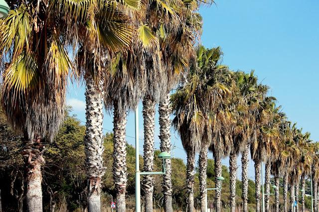 Red blazer on a day at the beach Red blazer on a day at the beach