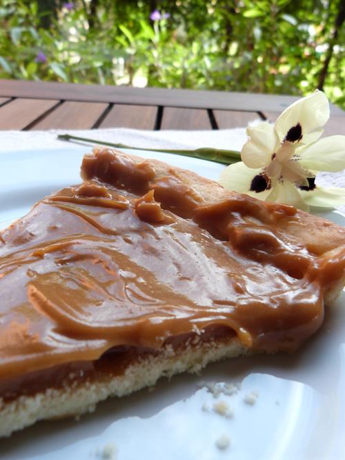 dulzura a las apuradas | tarta de dulce de leche