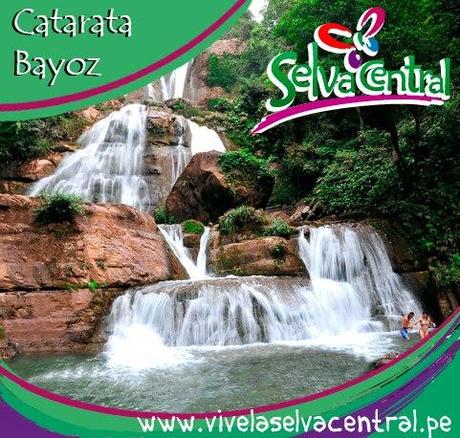 catarataBayoz-selvacentral