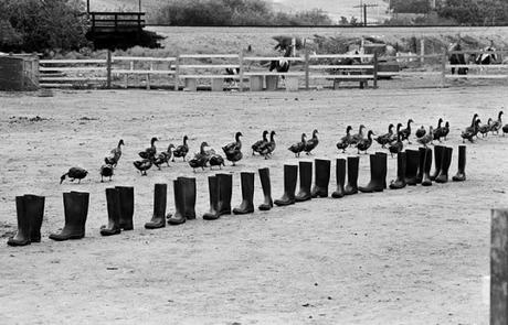 Las 100 botas de Eleanor Antin