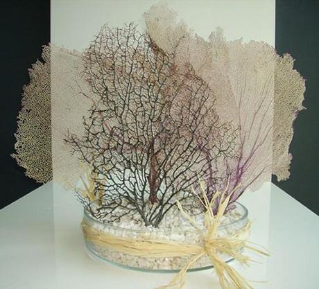 Colecciones A-cero Floral