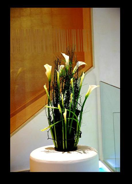 Colecciones A-cero Floral