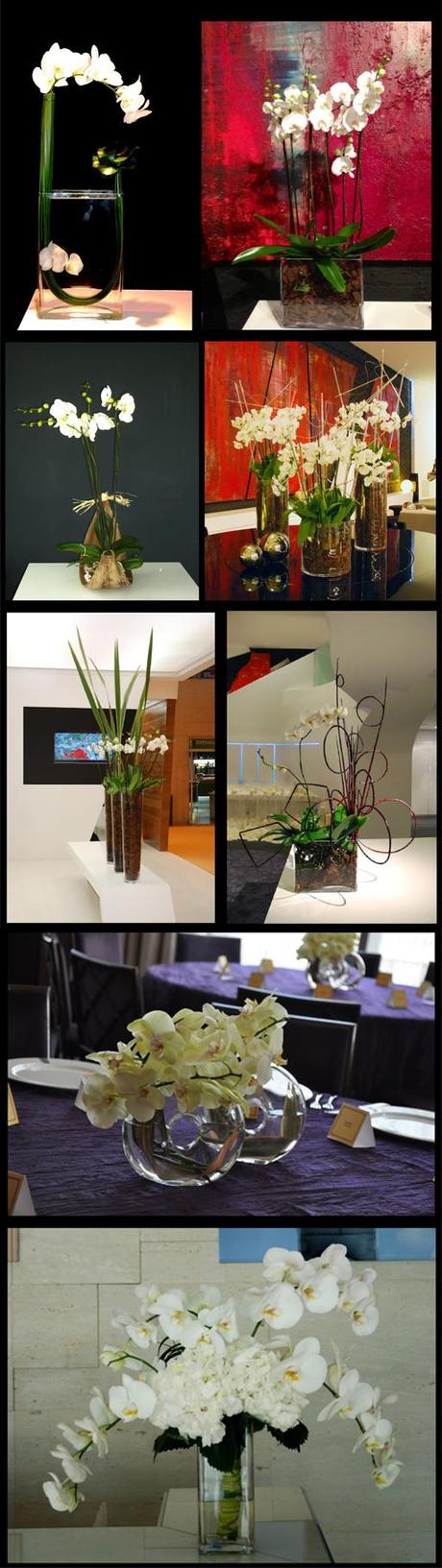 Colecciones A-cero Floral