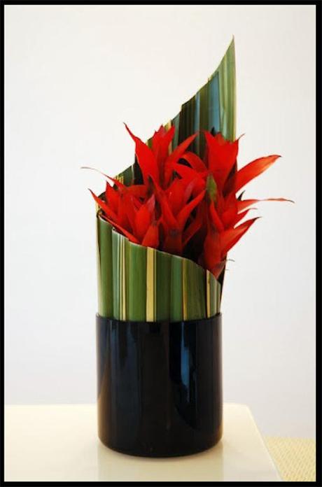 Colecciones A-cero Floral