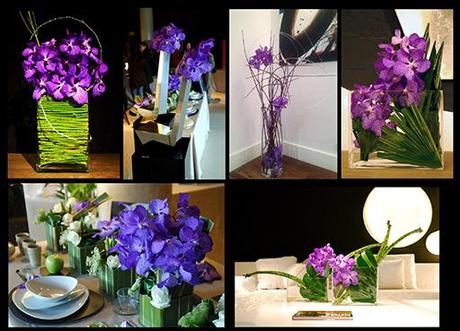 Colecciones A-cero Floral