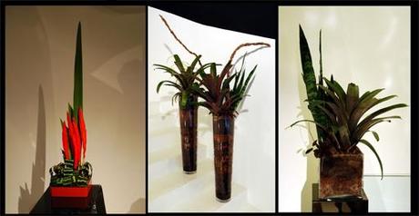 Colecciones A-cero Floral