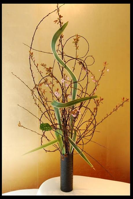 Colecciones A-cero Floral