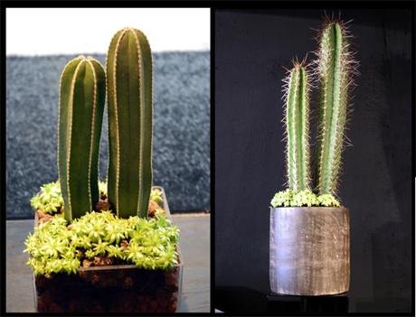 Colecciones A-cero Floral