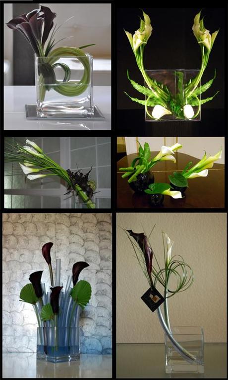 Colecciones A-cero Floral