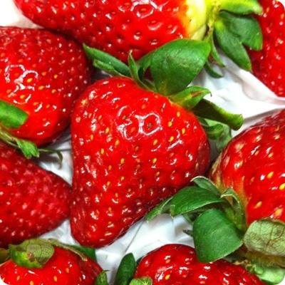 FRESAS