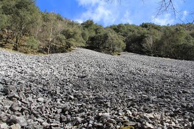 El Desmán del Pirineo en Basabe