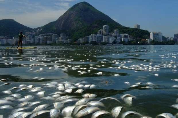 peces muertos en laguna de Río de Janeiro