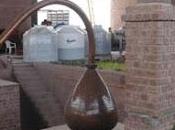 Gore promueve incorporación nuevas bodegas ruta pisco…