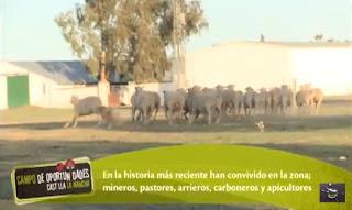 Video: Centro de Interpretación del Valle de Alcudia en Alamillo