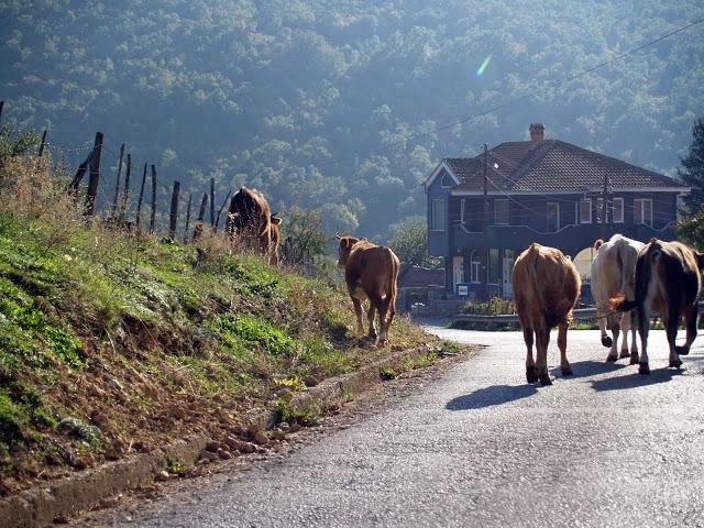 Lago Ohrid, el gran reclamo turístico de Macedonia