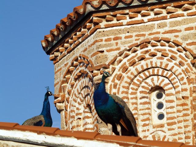 Lago Ohrid, el gran reclamo turístico de Macedonia