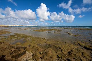Cádiz, una ciudad abierta al mar, abierta al mundo, abierta a los Erasmus