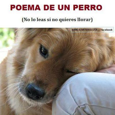 Poema de un perro