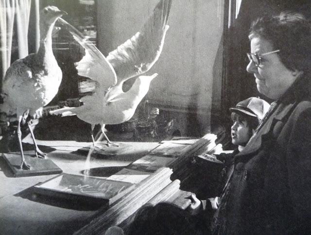 BARCELONA, UN PASEO POR LA BARCELONA ANTIGUA...16-03-2013...