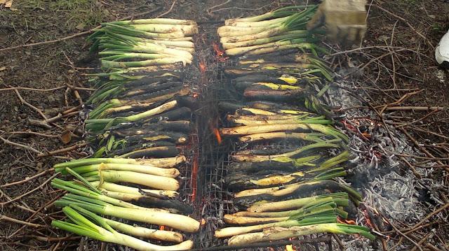 CALÇOTADA EN LES PECES, ALBINYANA...TARRAGONA, 11-03-2013...
