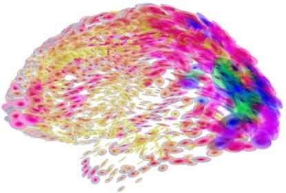 Inteligencia emocional y el cerebro 2.0