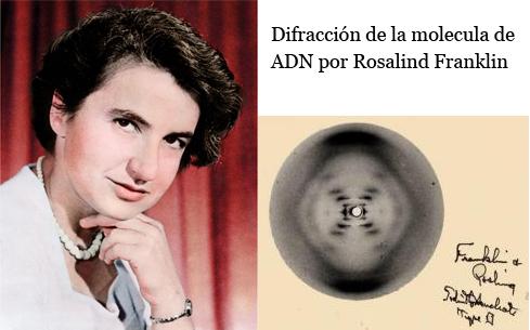 Rosalind Franklin