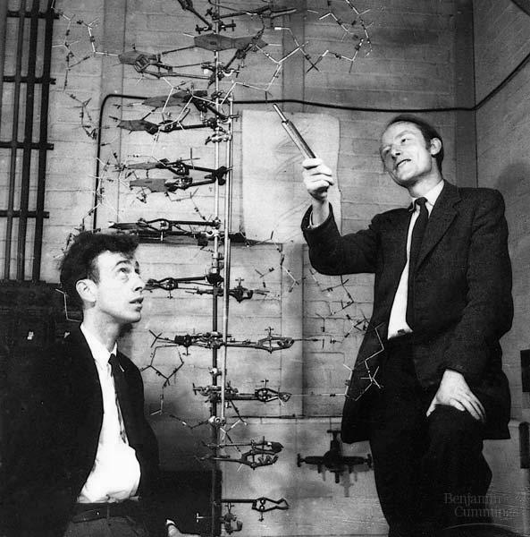 Watson y Crick