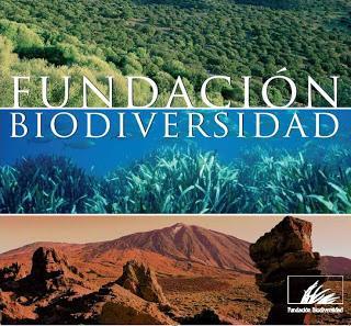 Abierta la convocatoria del MAGRAMA para la concesión de ayudas para actividades relacionadas con el medio ambiente