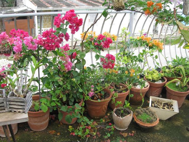 Un jardín encantado en la Villa.