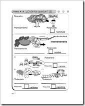 Guatematica_1_-_Tema_4_-_Resta_(1)_Página_03 Guatematica_1_-_Tema_4_-_Resta_(1)_Página_03