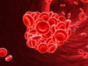 Crean detiene hemorragias instante