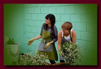 S. TE PRESENTA: EL INVERNADERO DE NAAN