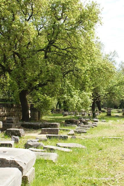 Fotografía Viajera #2: Curiosidades curiosas