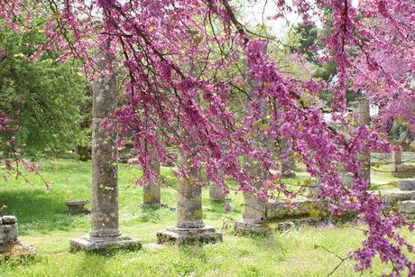 Fotografía Viajera #2: Curiosidades curiosas