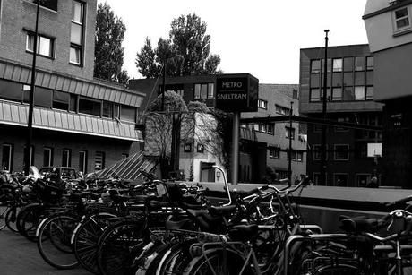 Fotografía Viajera #2: Curiosidades curiosas