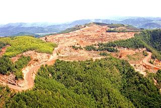 PNUD revelará en abril estudio a Loma Miranda.