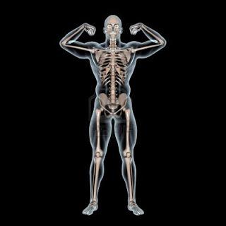 Curiosidades de nuestro cuerpo