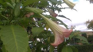 Y por fín es Primavera.