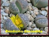 Bendición Escondida