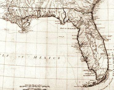 Una Estrella Fugaz y Solitaria