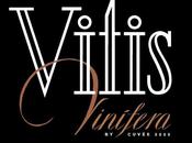 Vitis vinifera 2013